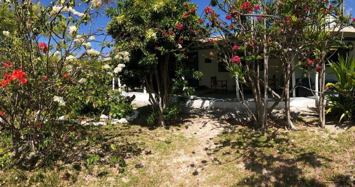 Moana Breeze Rangiroa - Rental Car Included - Air Conditioning - Wi-Fi Tiputa Camera foto