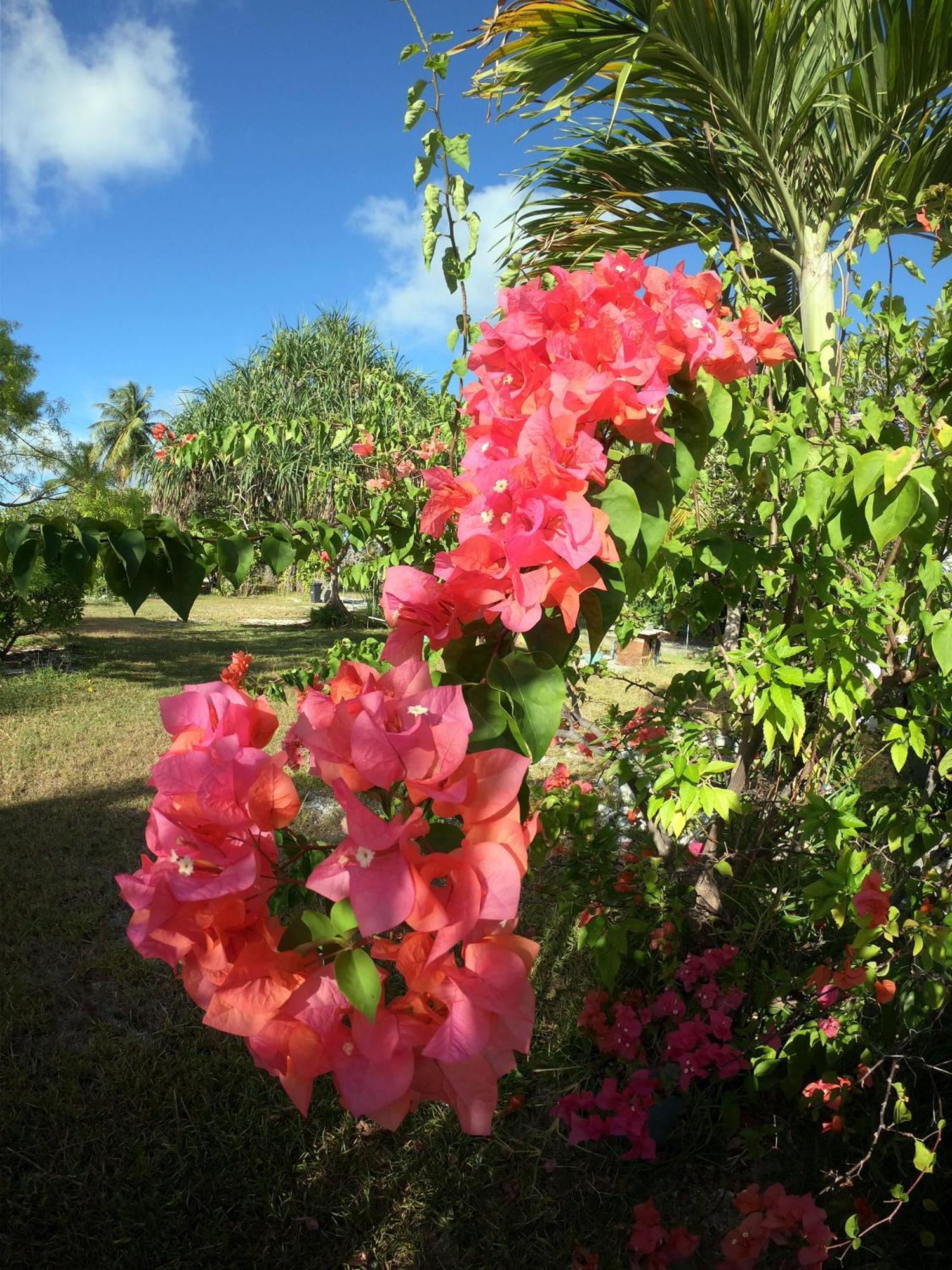 Moana Breeze Rangiroa - Rental Car Included - Air Conditioning - Wi-Fi Tiputa Esterno foto