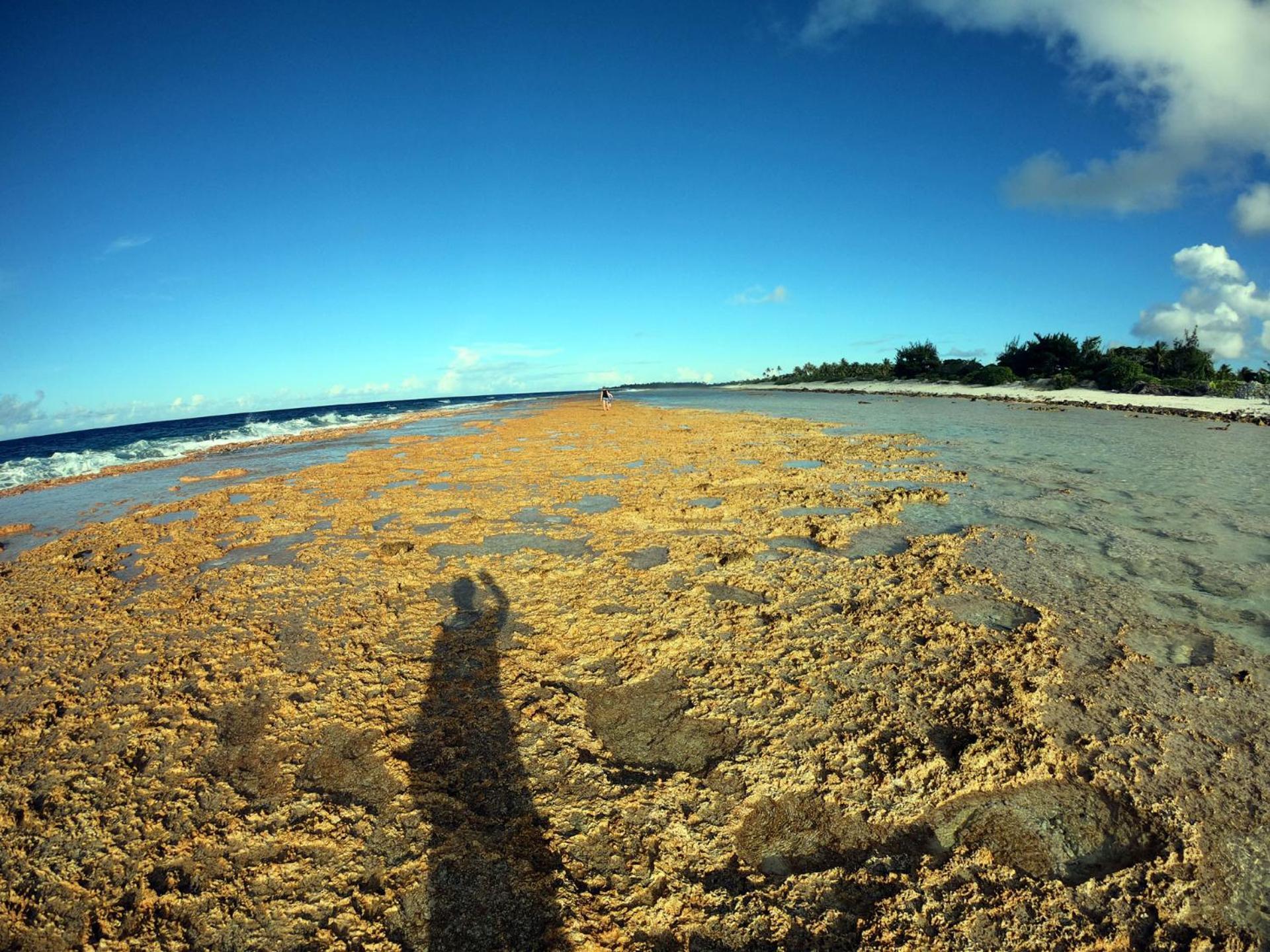 Moana Breeze Rangiroa - Rental Car Included - Air Conditioning - Wi-Fi Tiputa Esterno foto